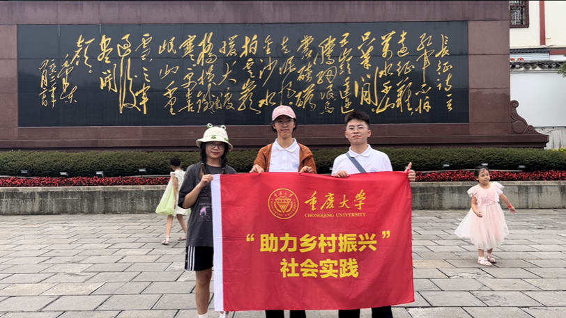 反差婊