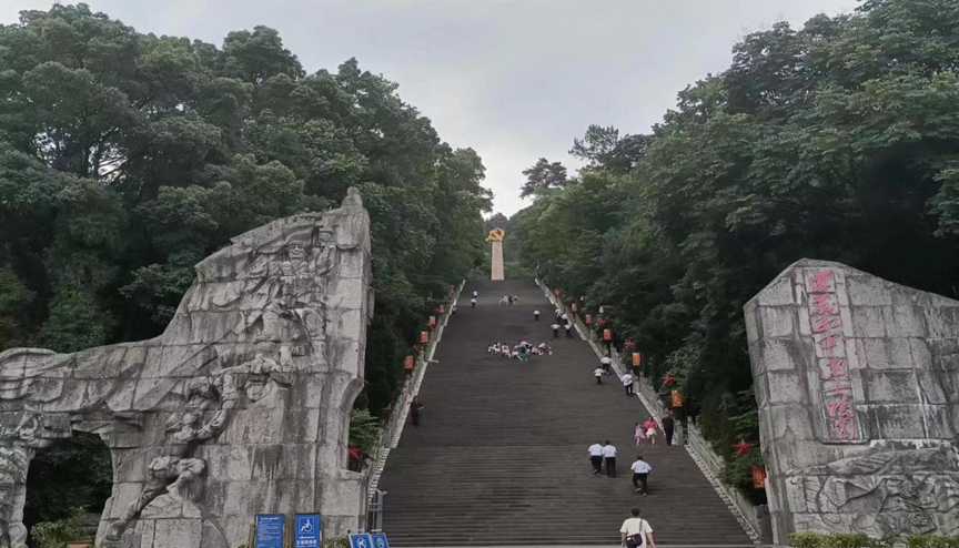 反差婊