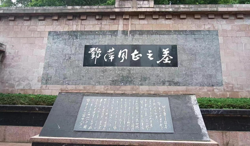 反差婊